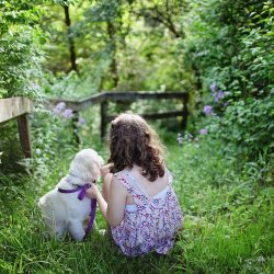Une fillette et son petit chien au pied d'une barrière qui ouvre sur la forêt de verdure